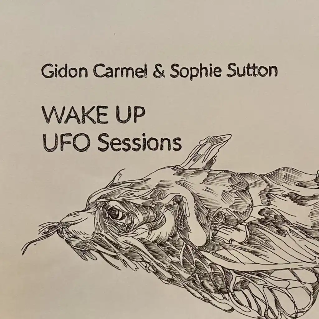 Wake Up (Ufo Sessions)