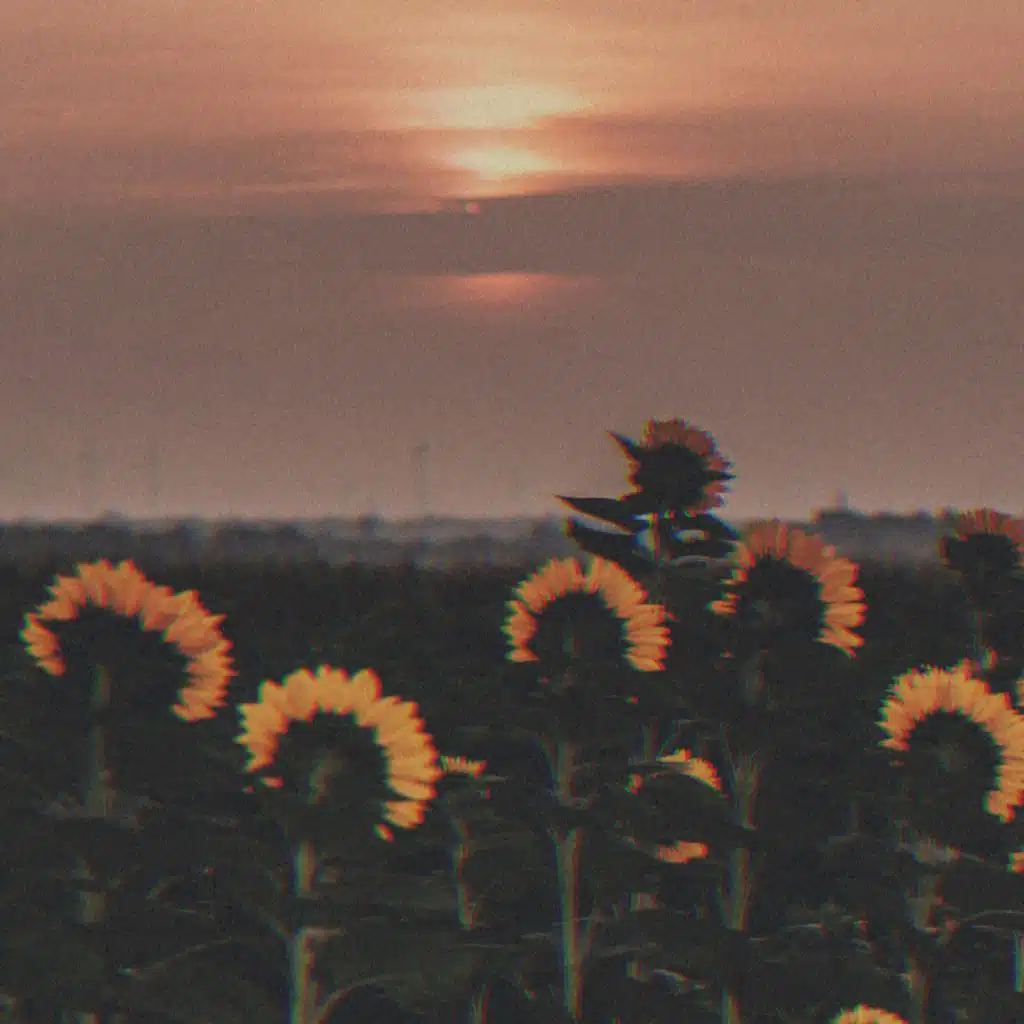 now that i feel your blues