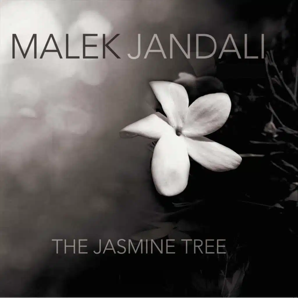 The Jasmine Tree