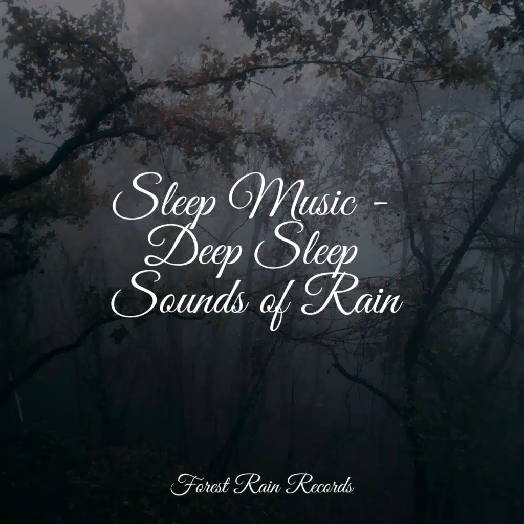 Naturaleza Sonidos & The Sleep Helpers