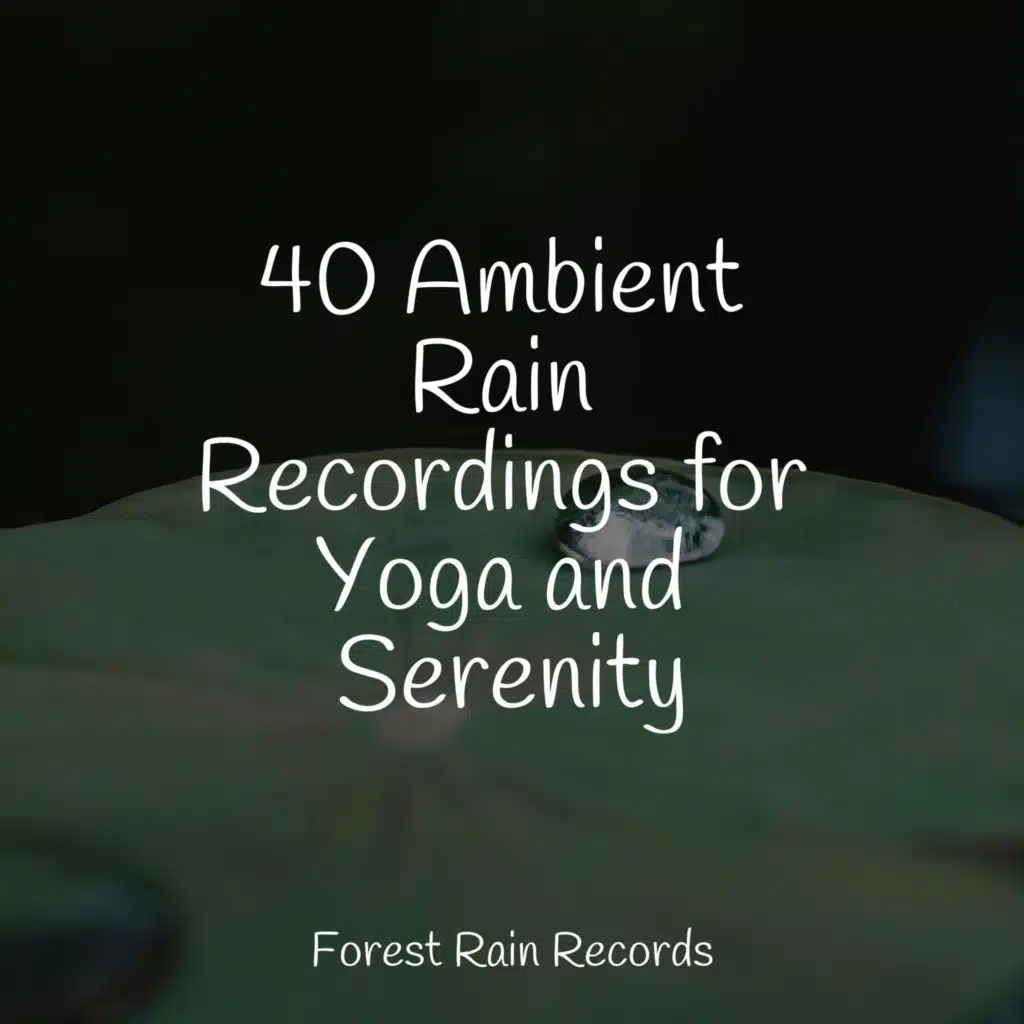 Rain, Evening, Leaves