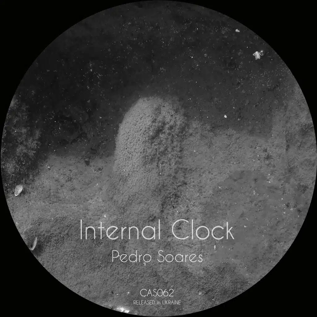 Internal Clock