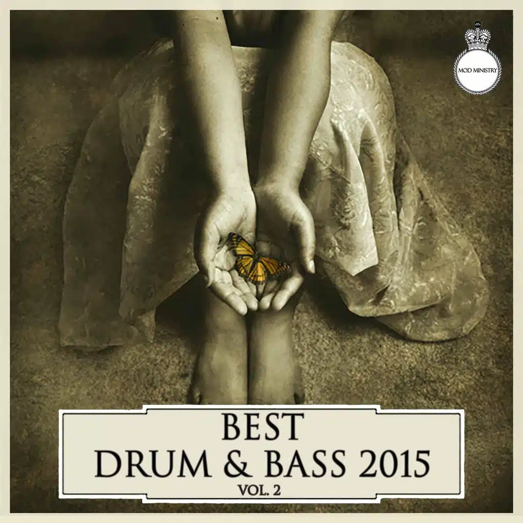Best Drum & Bass 2015, Vol. 2