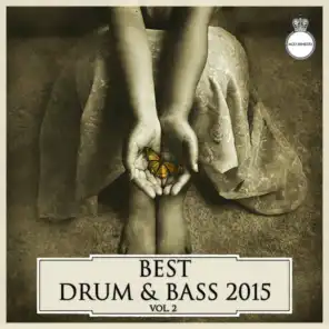 Best Drum & Bass 2015, Vol. 2