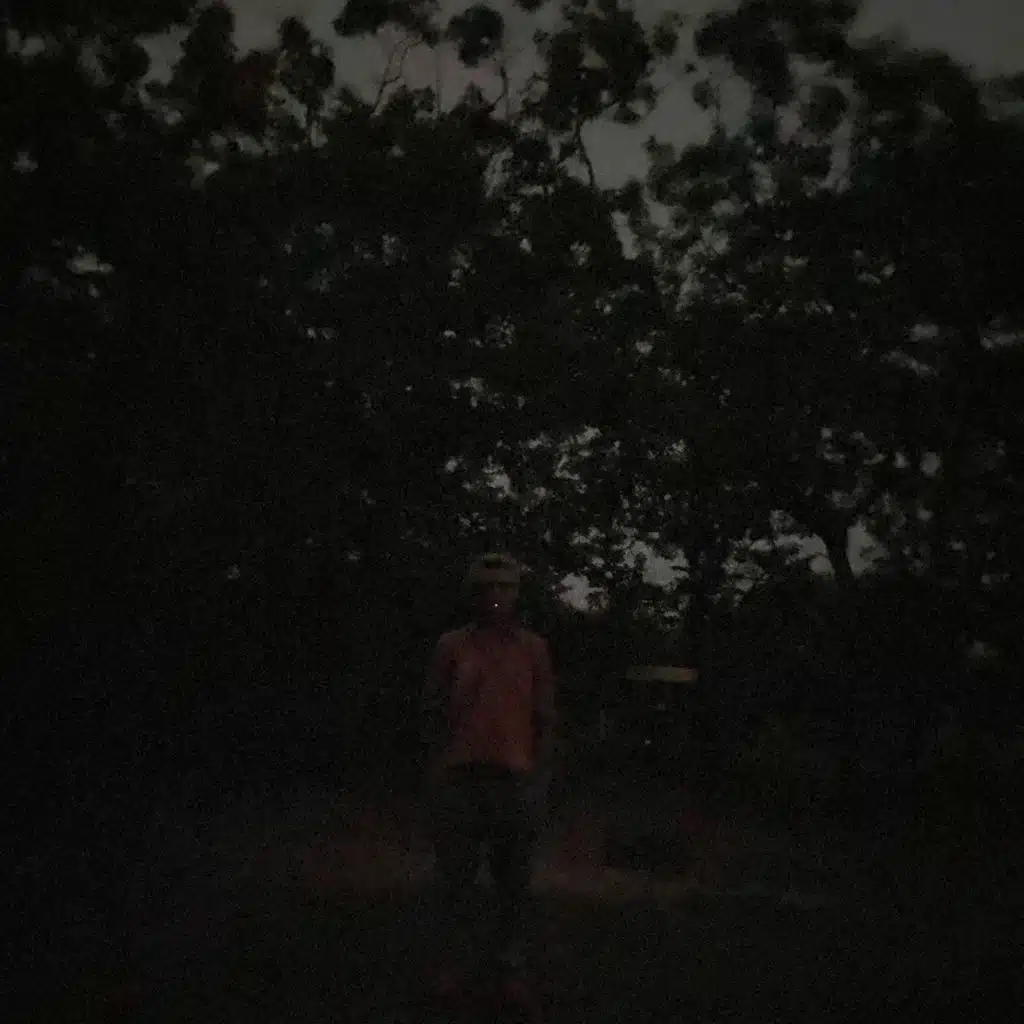 Studies in Contemporary History