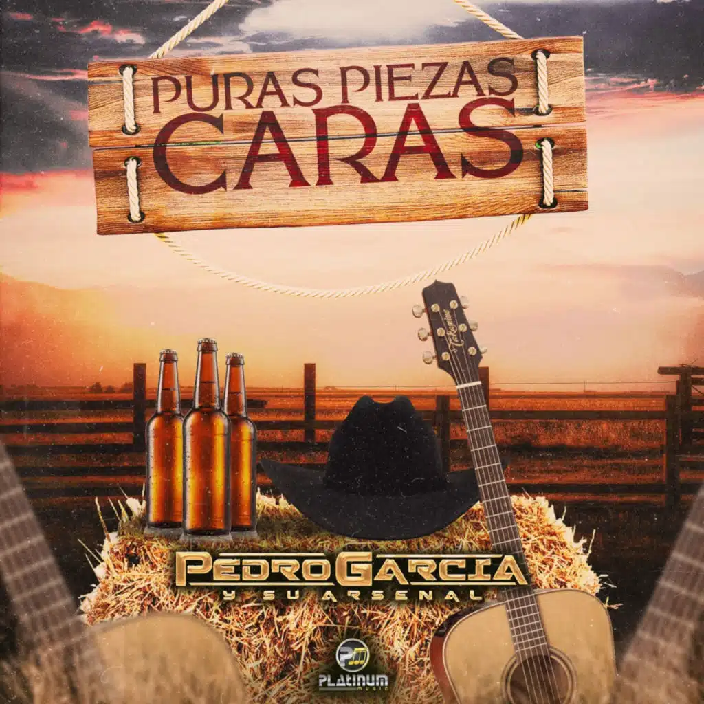 Puras Piezas Caras
