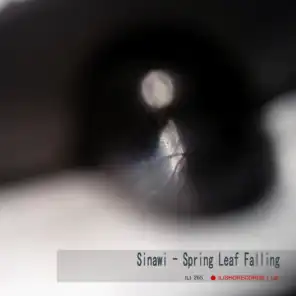 Spring Leaf Falling (Original Mix)