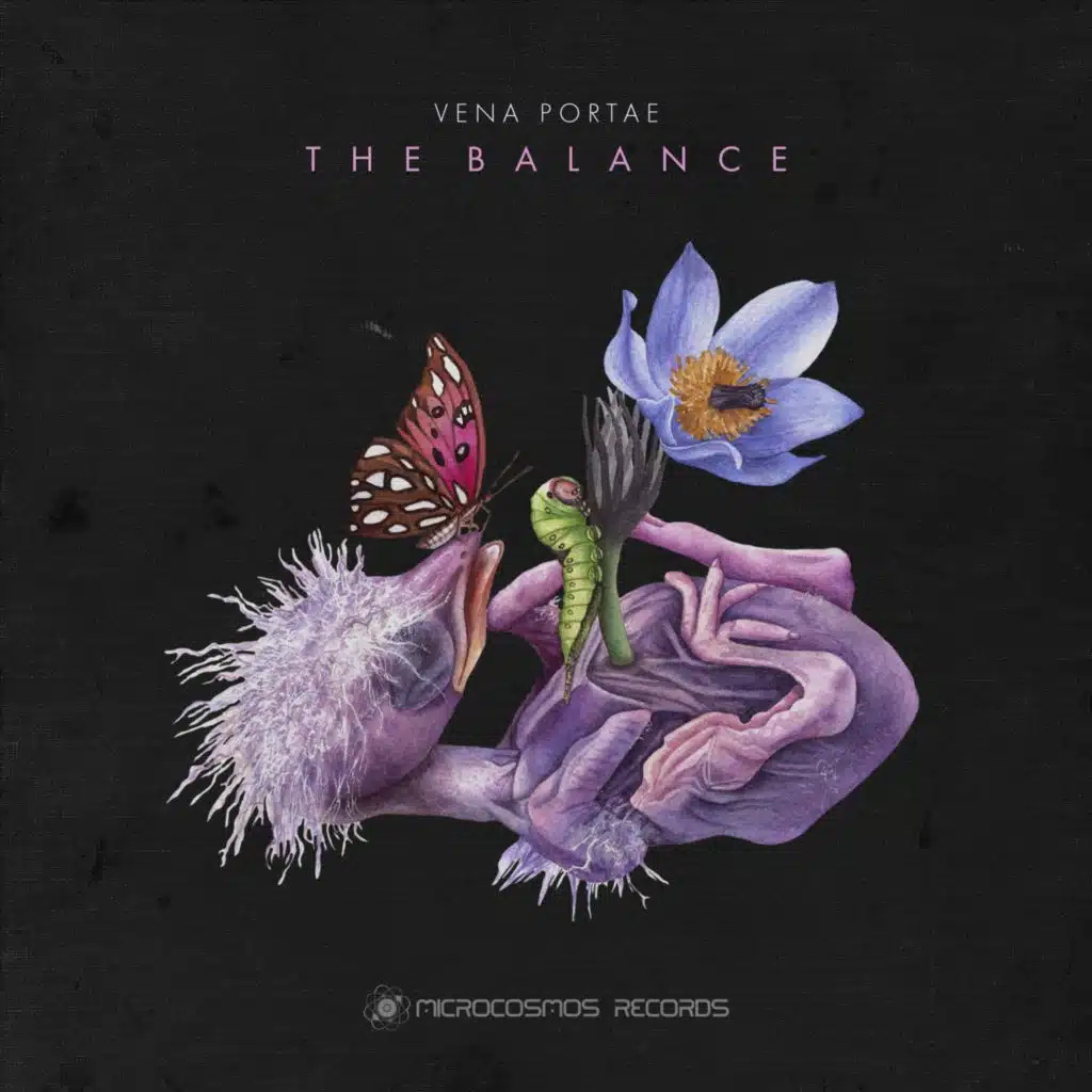 The Balance (Mountains)
