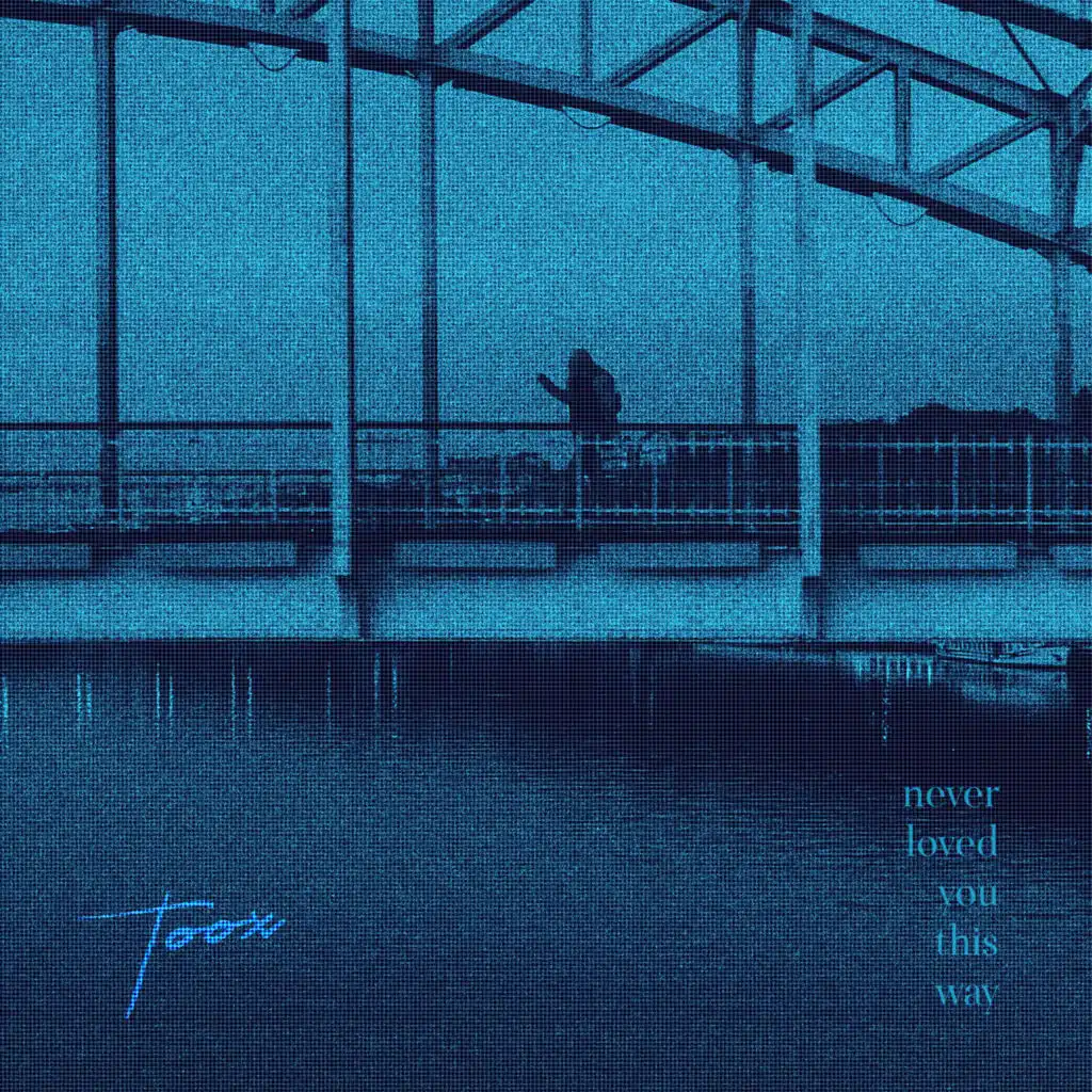 never loved you this way