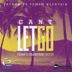 Can't Let Go (Faydee Vs Tempo Elektrik) (Tempo Elektrik Refix)