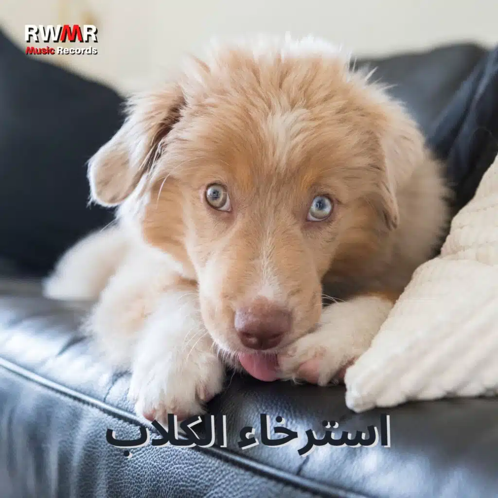 الاسترخاء العميق