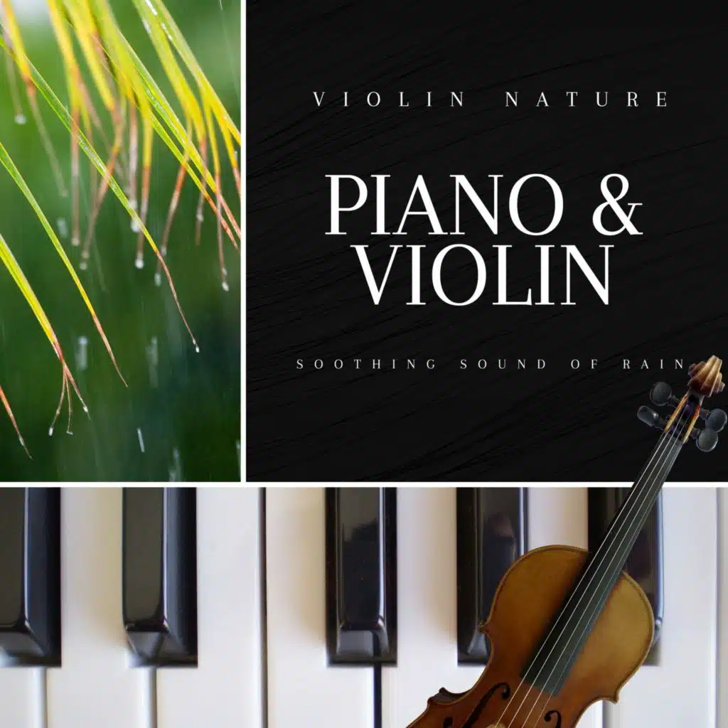 Piano & Violin Music with Soothing Sound of Rain