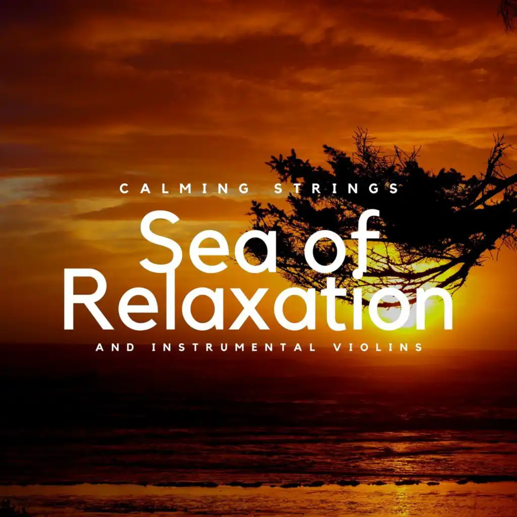 Sea of Relaxation and Instrumental Violins