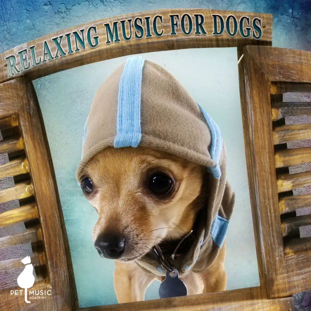 Soothing Music for Pets