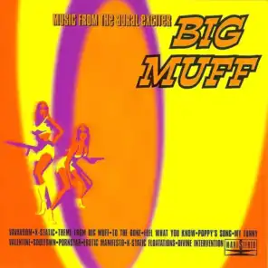 The Theme From Big Muff