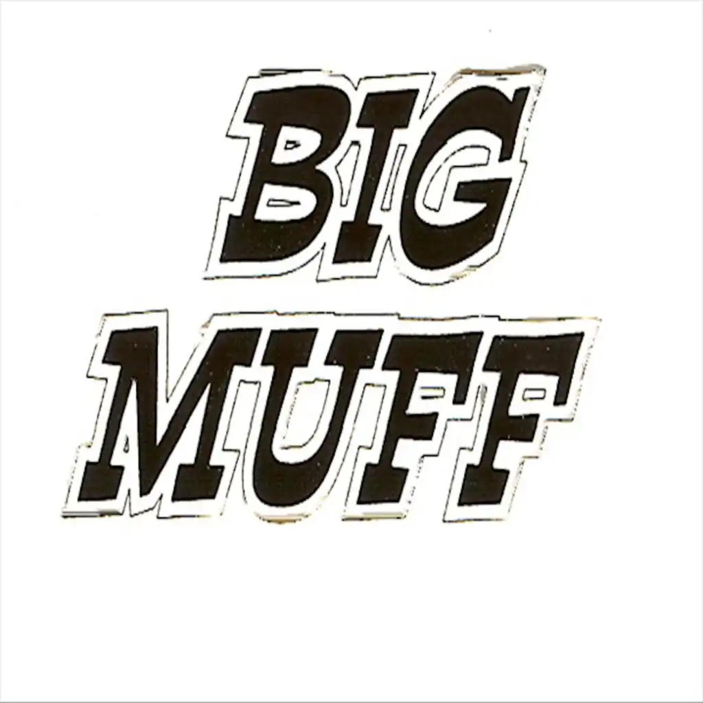 The Theme From Big Muff