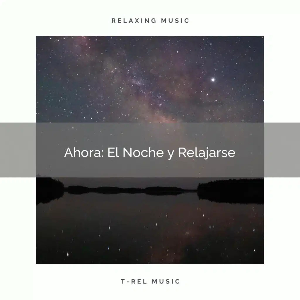 Ahora: El Noche y Relajarse