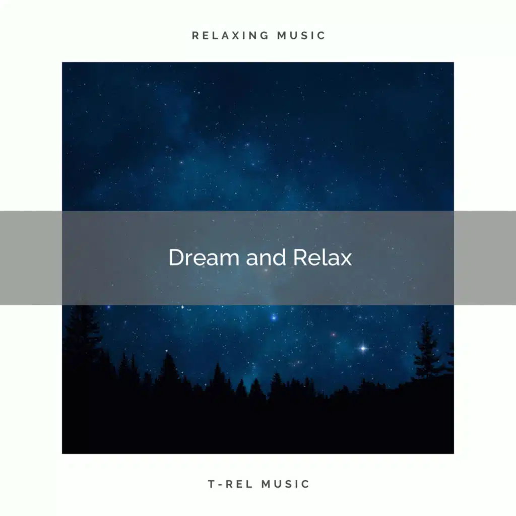 Dream and Relax