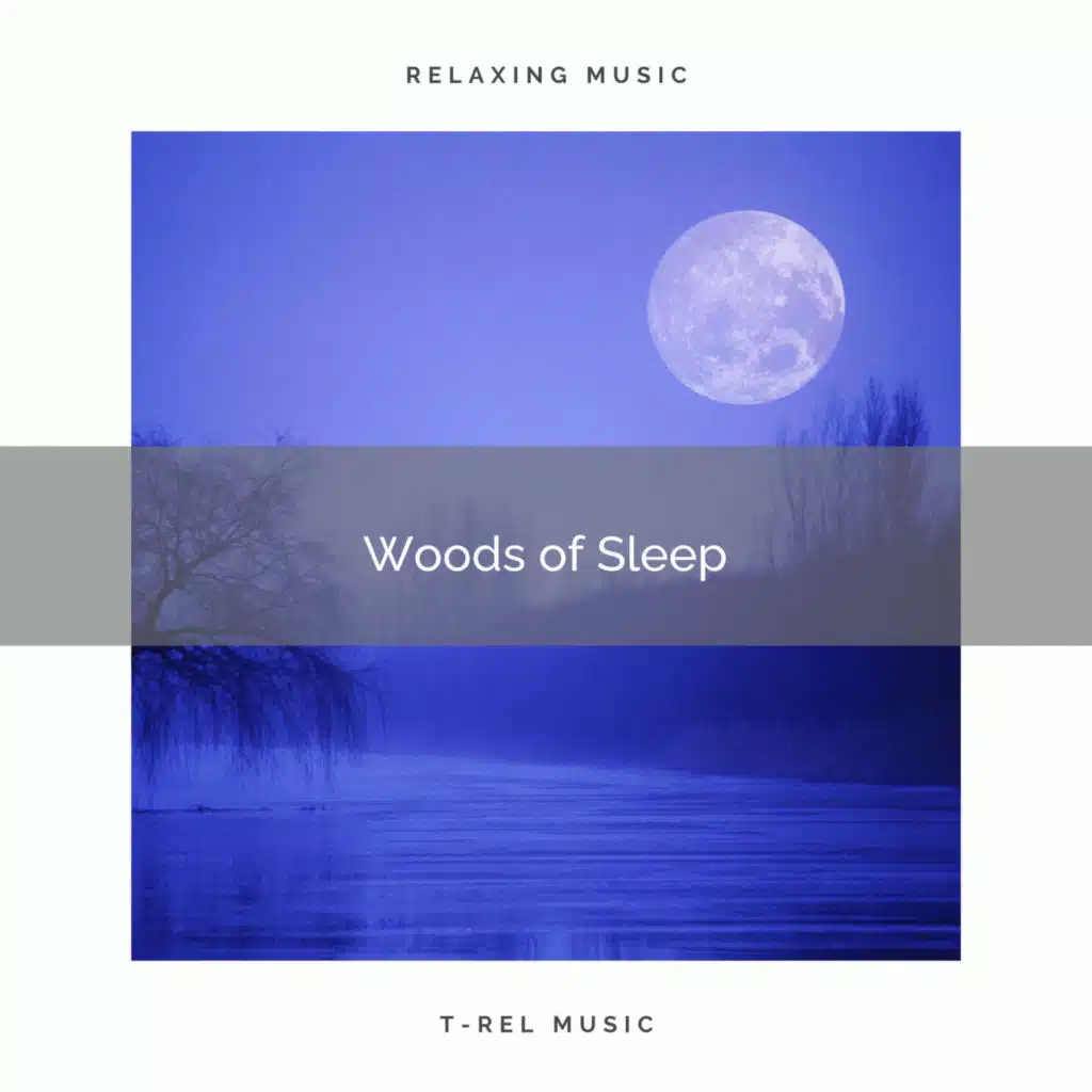 Woods of Sleep