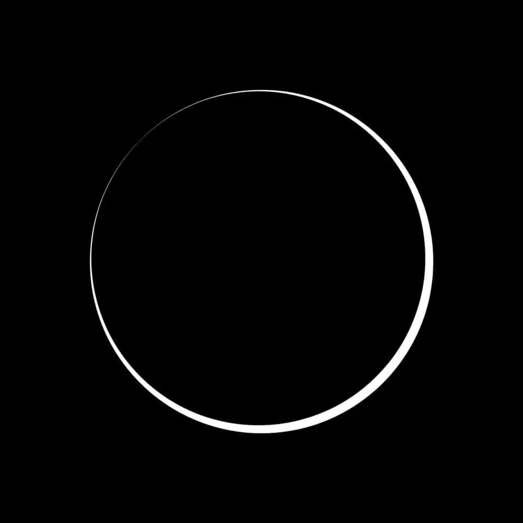 Survive Said The Prophet