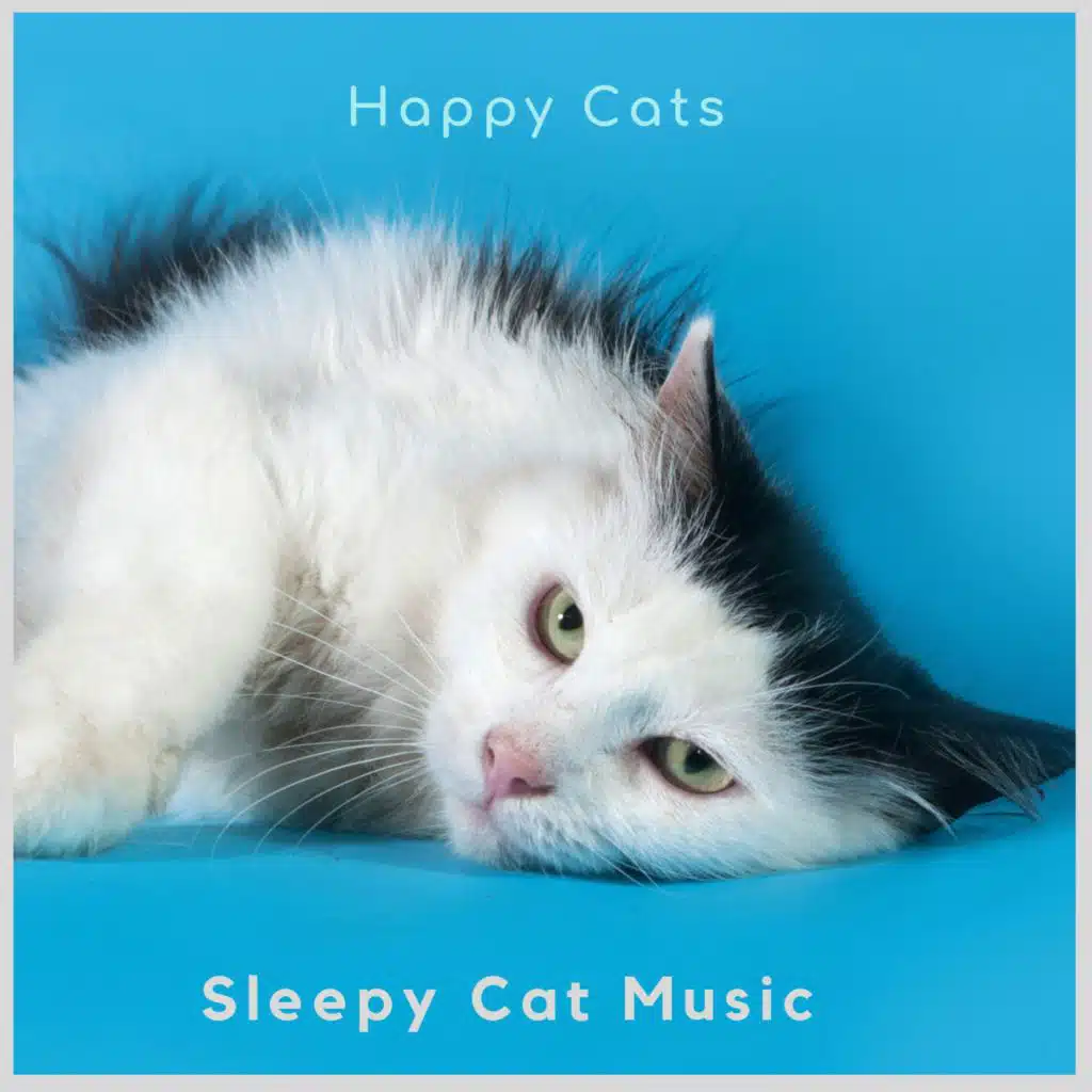 Happy Cats