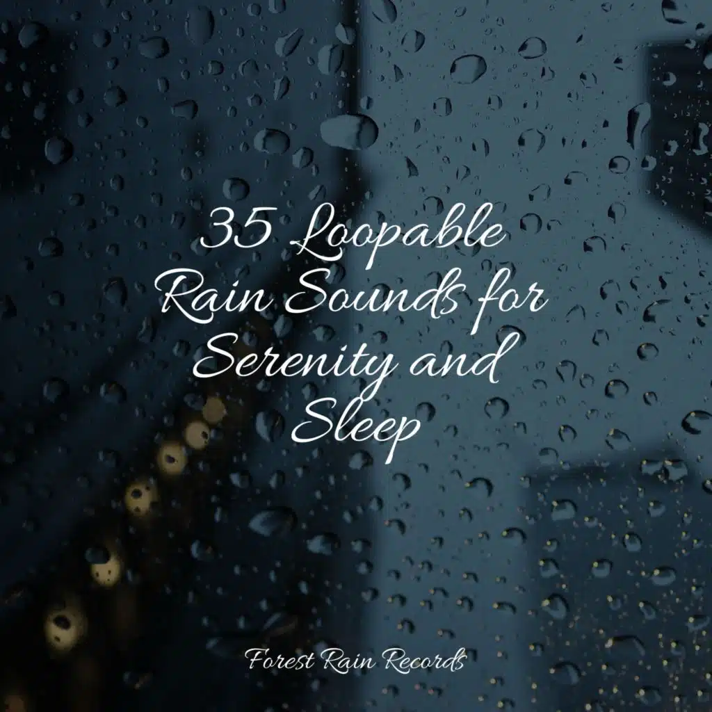 Seagulls on the Beach (Relaxing Ocean Waves)