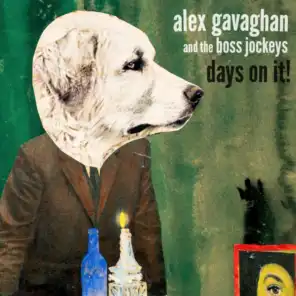 Alex Gavaghan, The Boss Jockeys