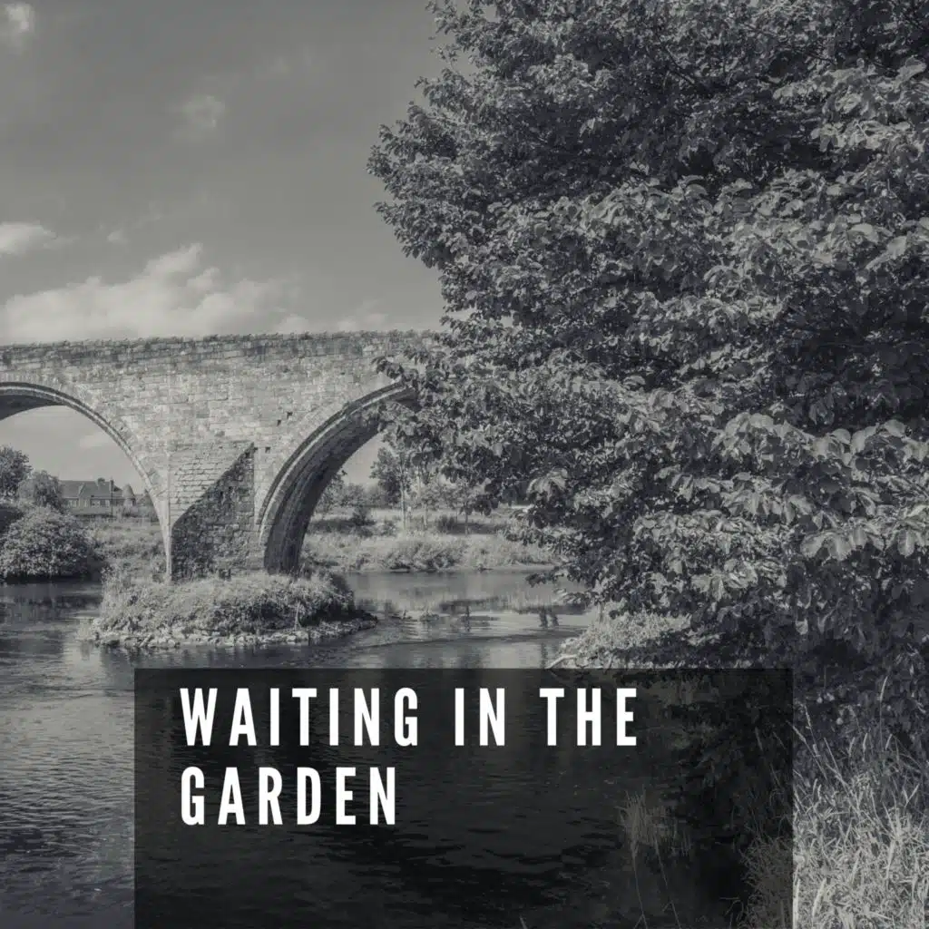 Bix Beiderbecke And His Gang/New Orleans Lucky Seven