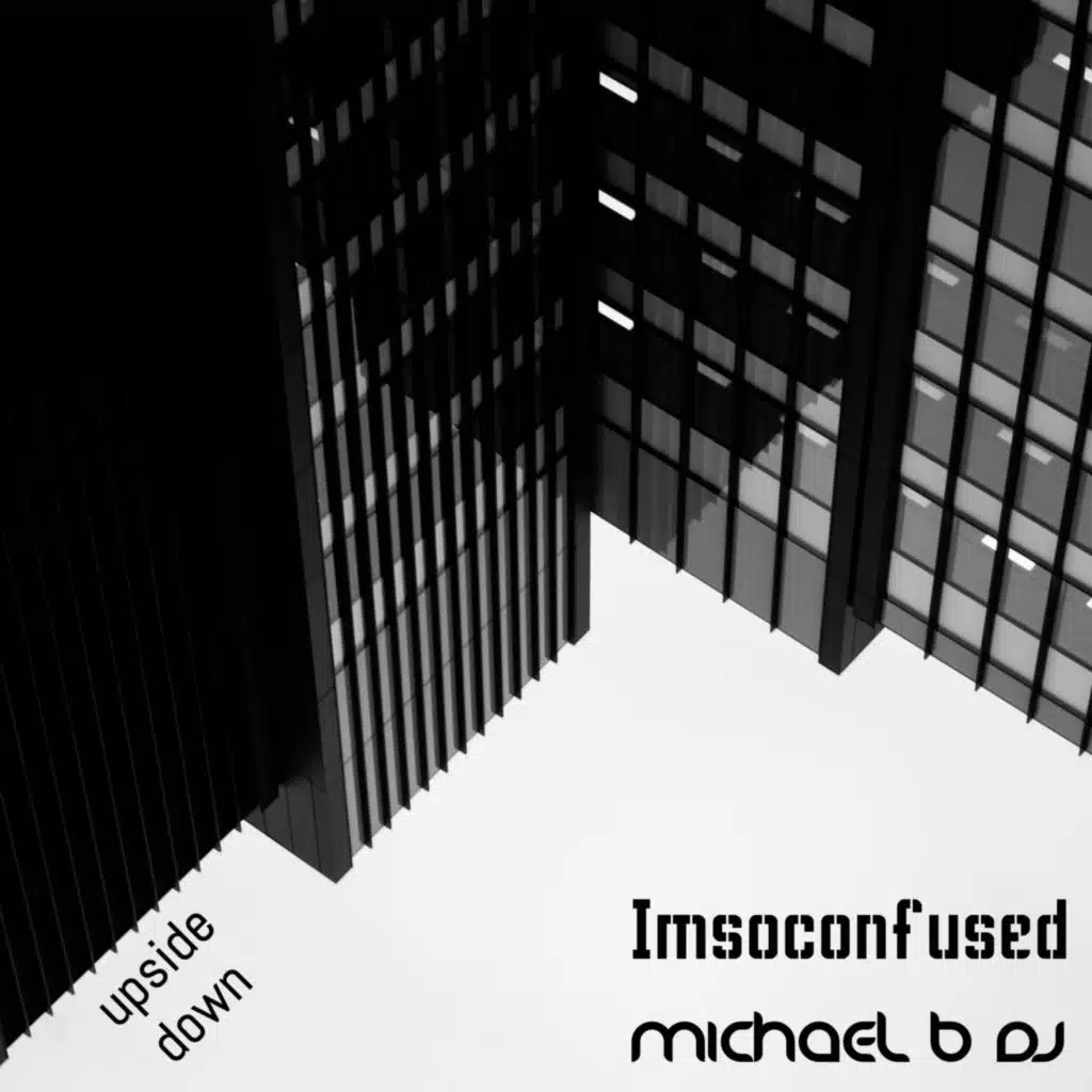 Michael B DJ & IAMSOCONFUSED