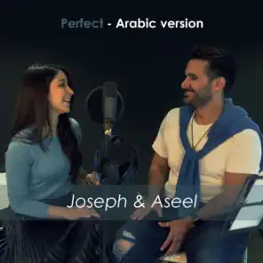 Perfect (Arabic Version)