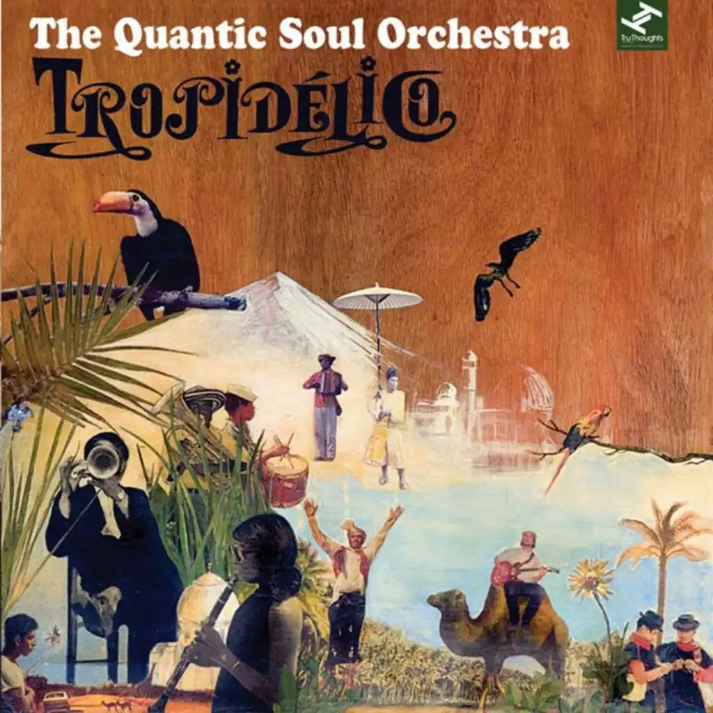 The Quantic Soul Orchestra, Quantic