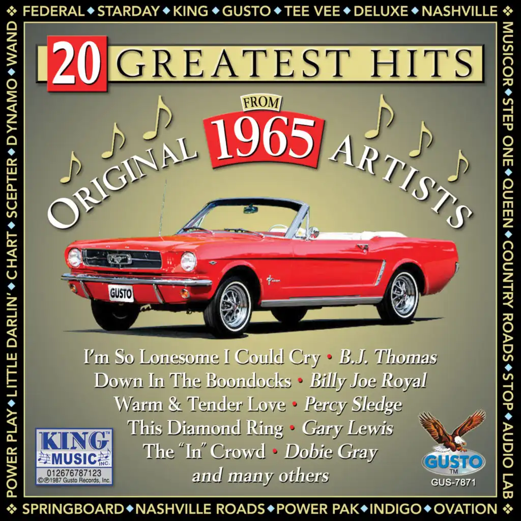 20 Greatest Hits: 1965