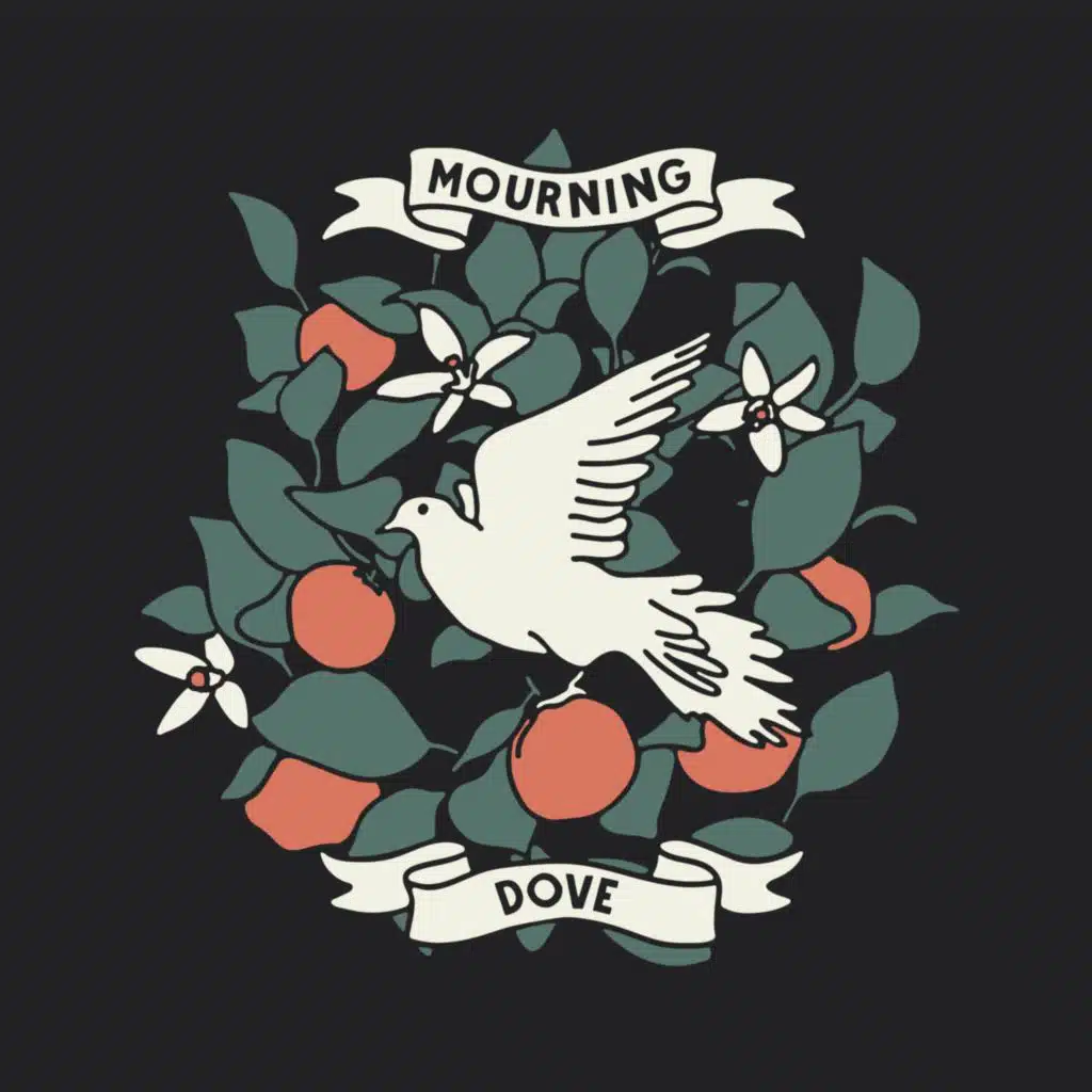 Mourning Dove (Acoustic)