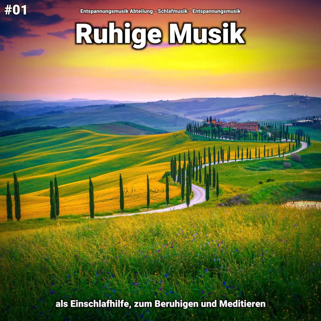 Entspannungsmusik Abteilung & Schlafmusik