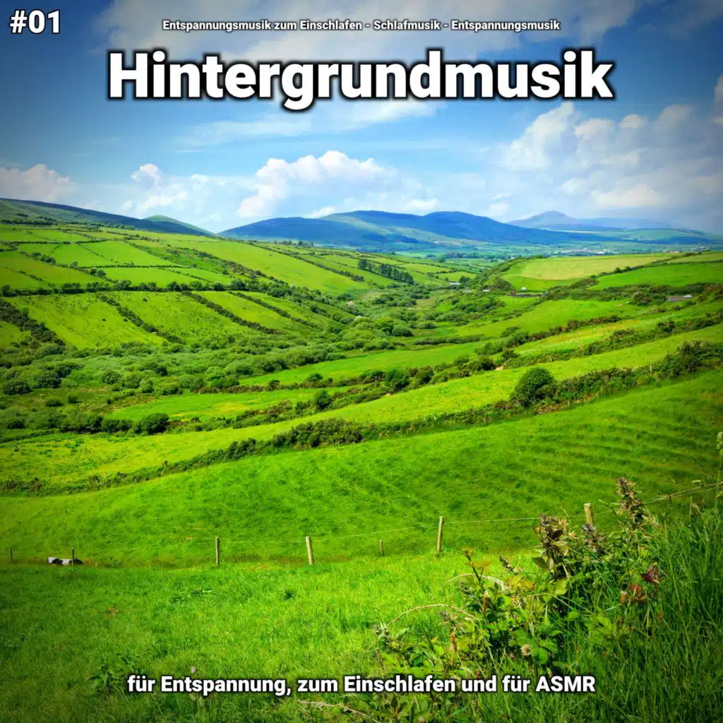 Entspannungsmusik zum Einschlafen & Schlafmusik