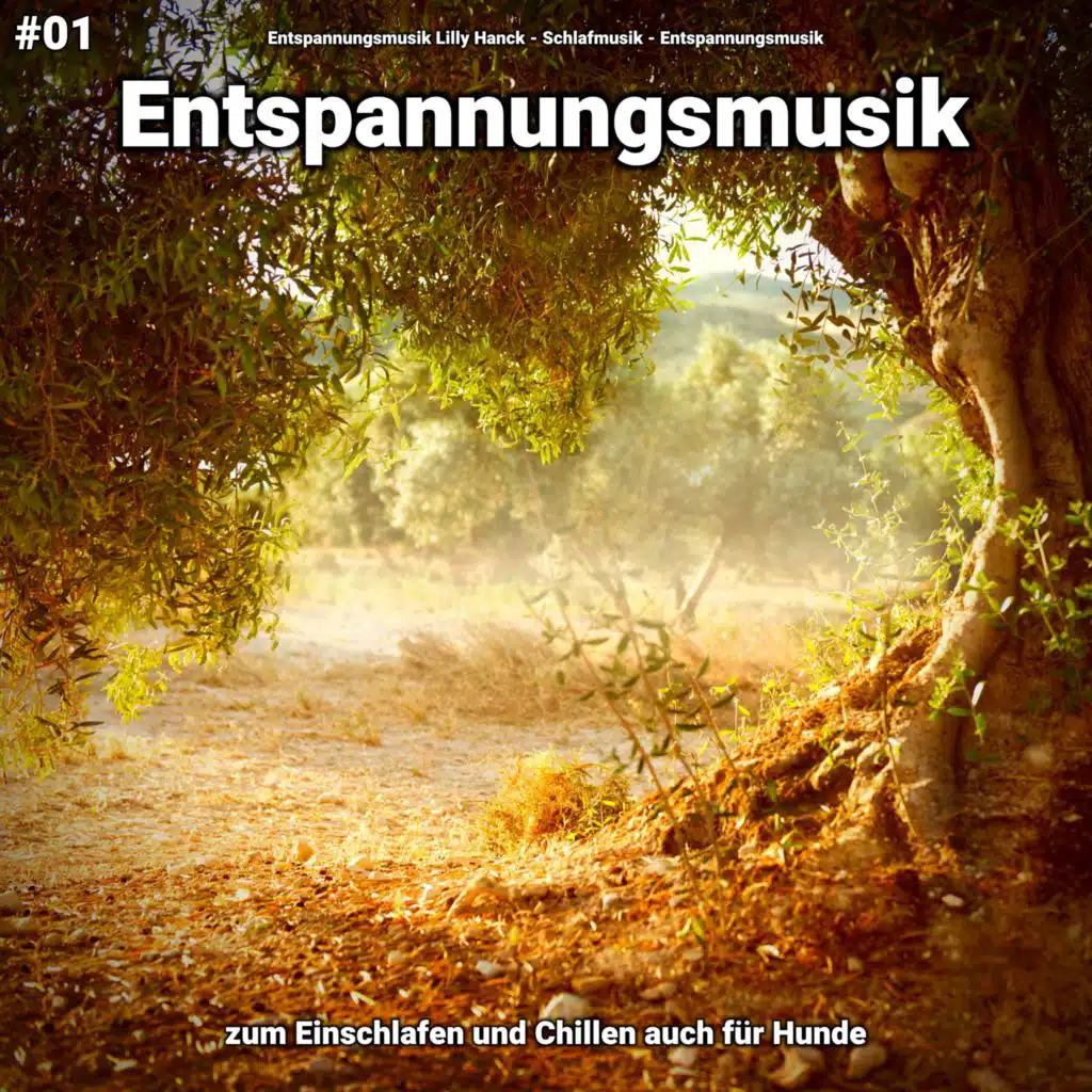 Entspannungsmusik Lilly Hanck & Schlafmusik