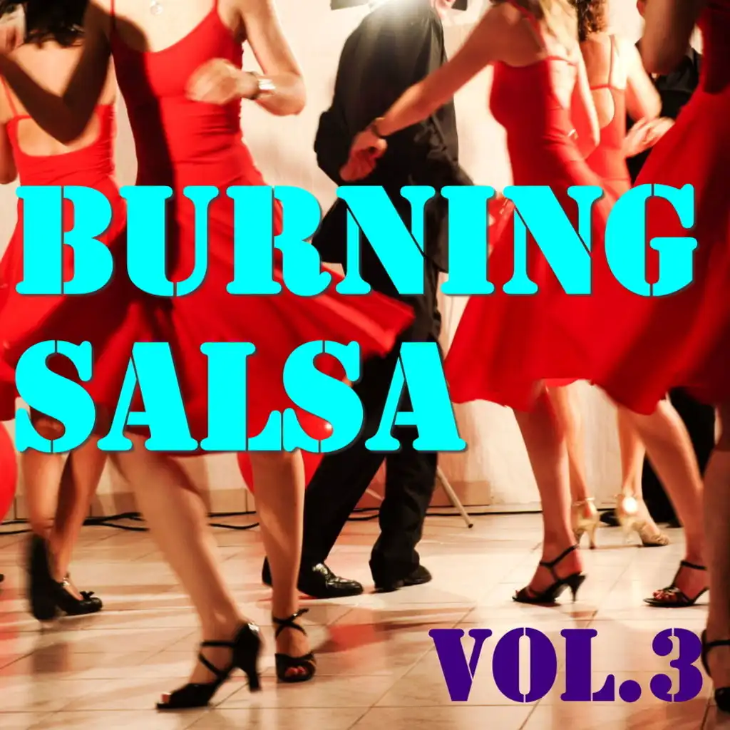 Burning Salsa, Vol.3