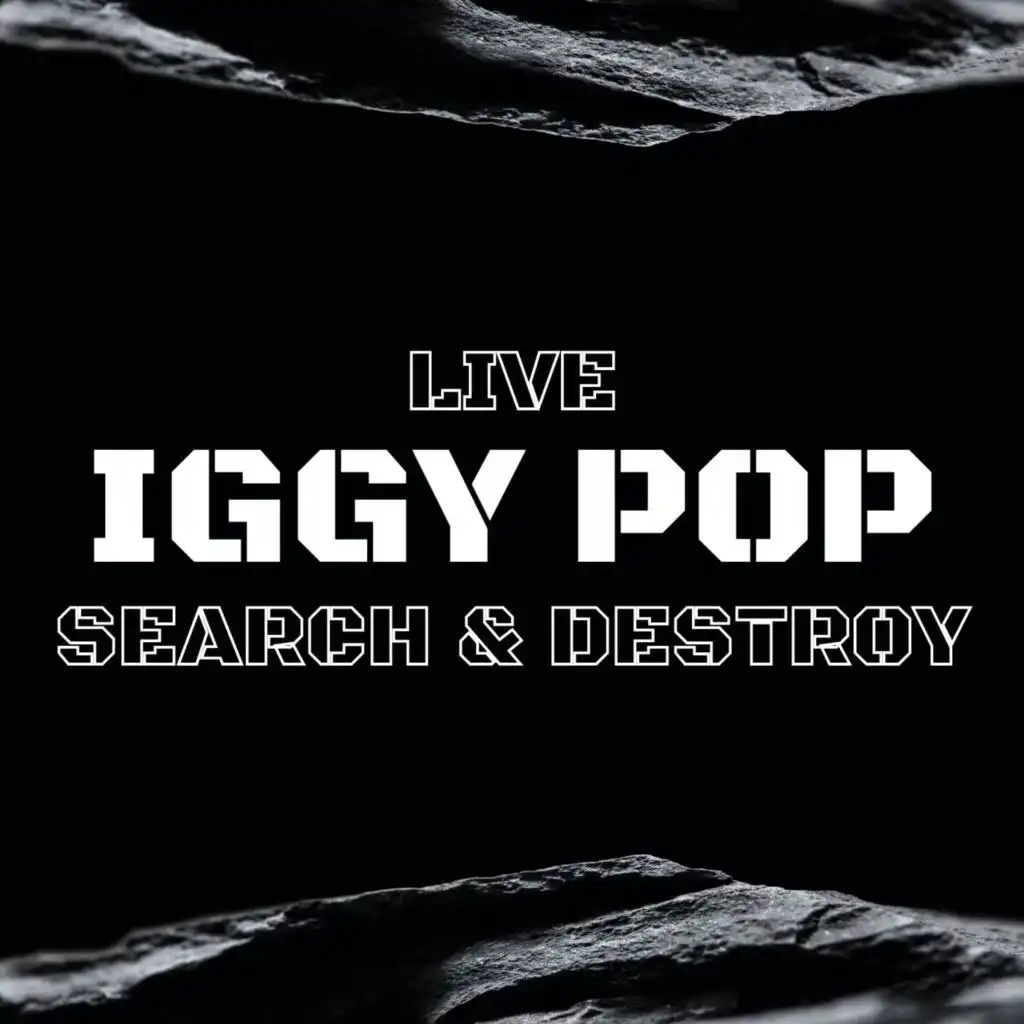 Iggy Pop Live: Search & Destroy