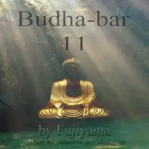 Budha - Bar 11, Music For Relaxation And Meditation