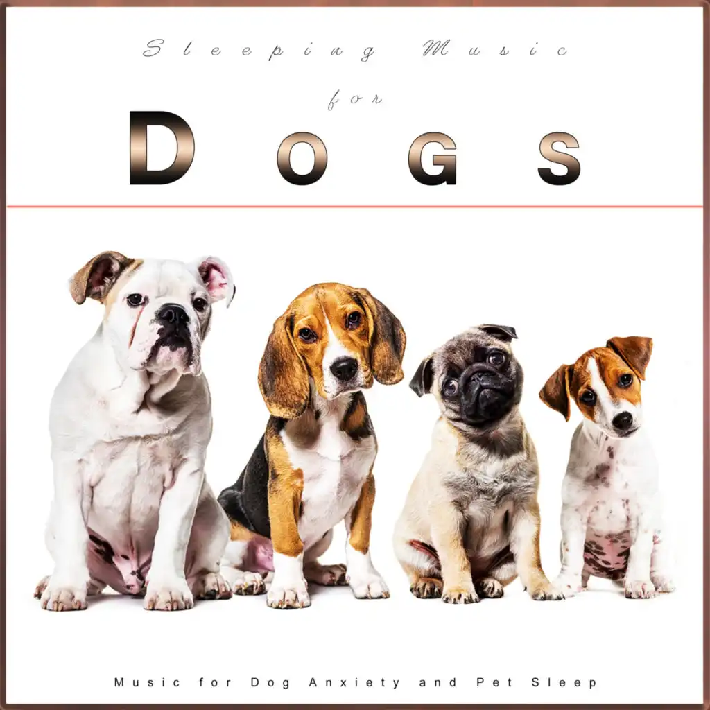 Pure Dog Music, Sleeping Music For Dogs & Music For Dogs