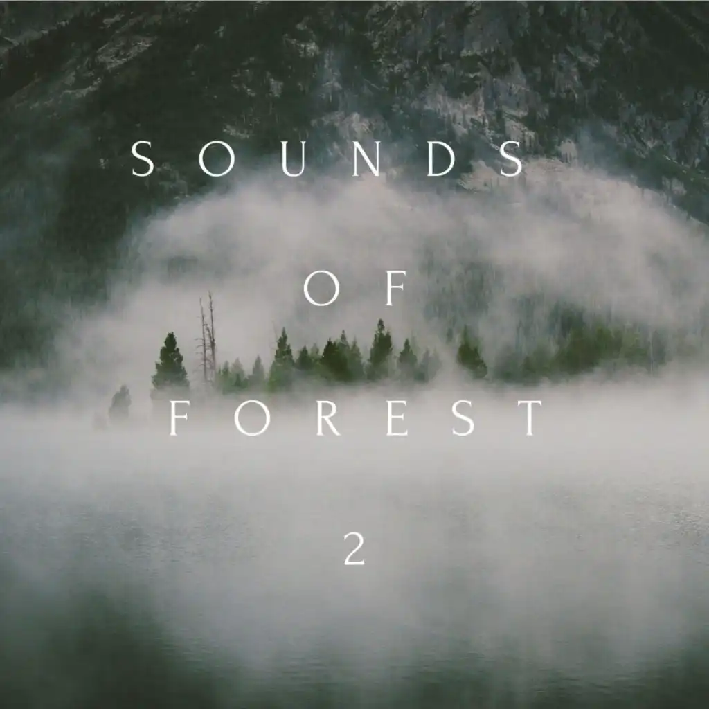 Selfish Love (Forest Version)