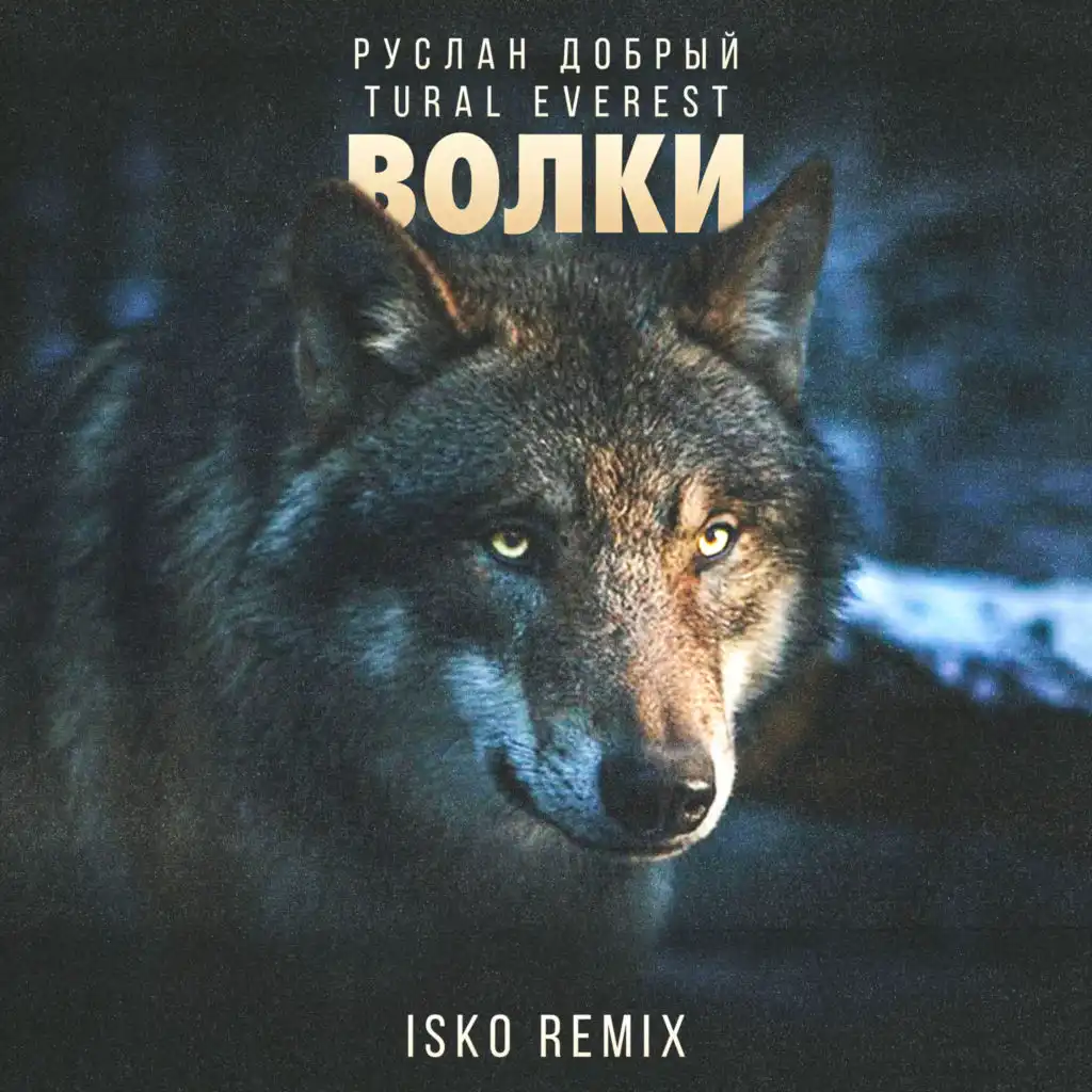 Волки (Isko Remix)