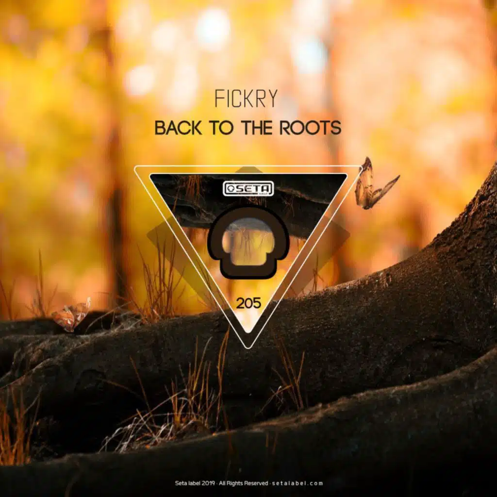 Back To The Roots (feat. Micko)