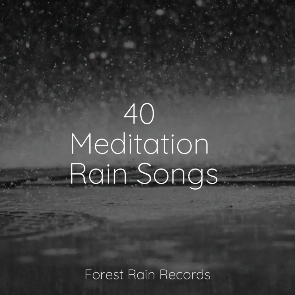 40 Meditation Rain Songs