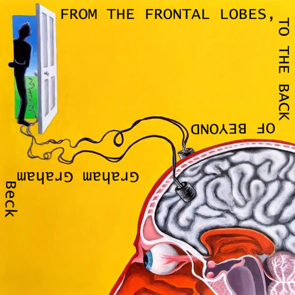 From The Frontal Lobes, To The Back Of Beyond