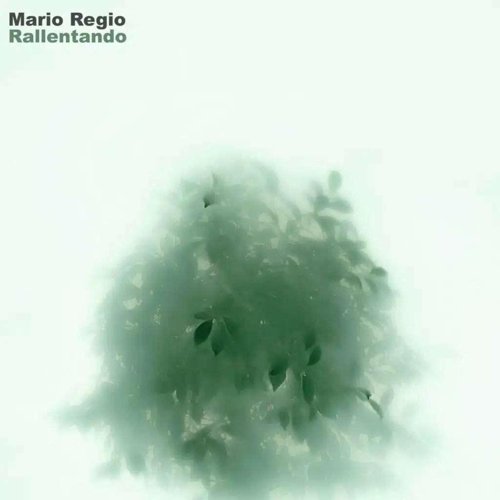 Mario Regio
