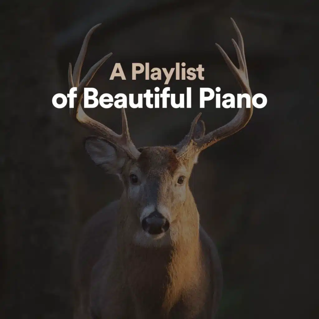 A Playlist of Beautiful Piano