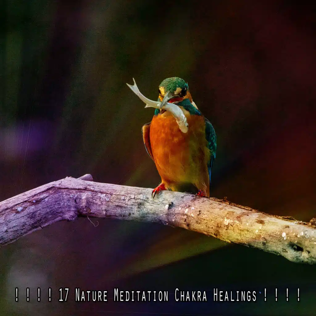 ! ! ! ! 17 Nature Meditation Chakra Healings ! ! ! !