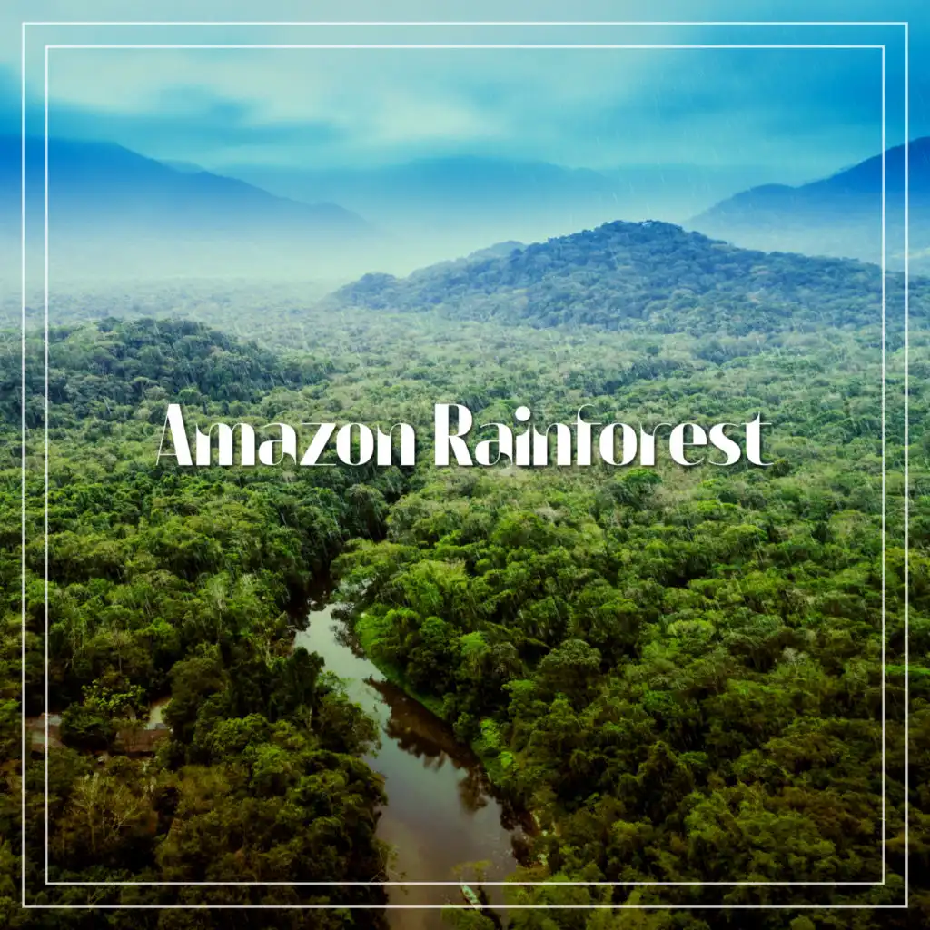 Amazon Rainforest: Pure Nature Sounds without Music