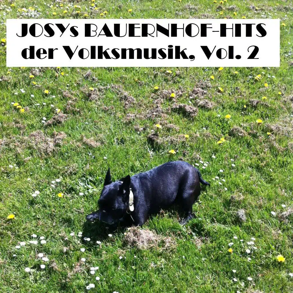 Josys BAUERNHOF-Hits der Volksmusik, Vol. 2